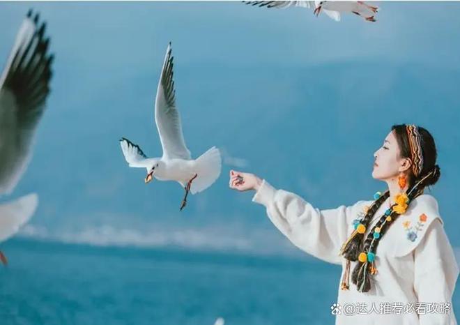 么安排合适跟团去丽江旅游要多少钱麻将胡了2试玩2个人去丽江旅游怎(图3)